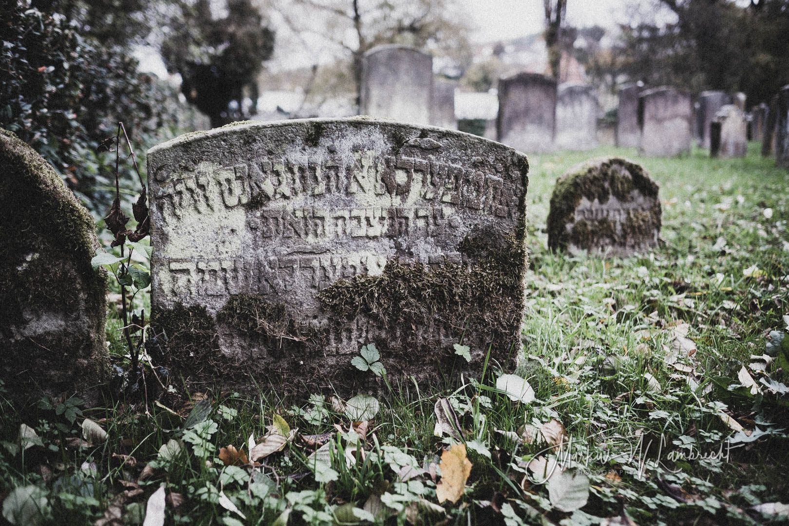 Witzenhausen, Jüdischer Friedhof